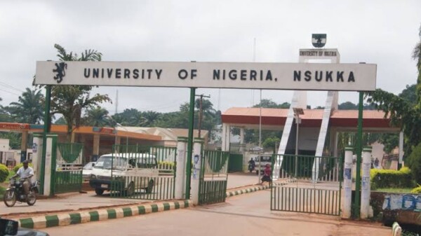 Accredited Courses Offered At University of Nigeria Nsukka [UPDATED]