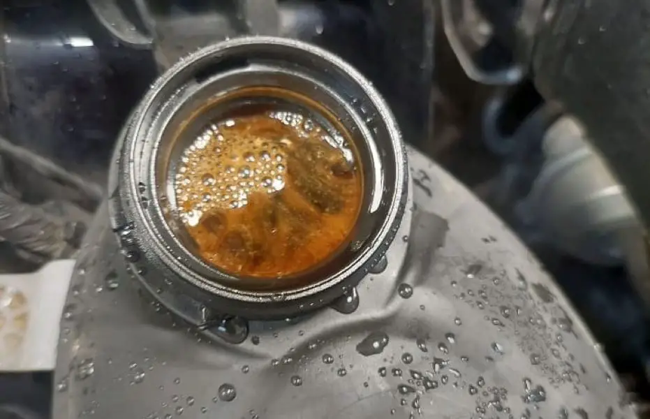 Does Oil In Coolant Always Mean Head Gasket?