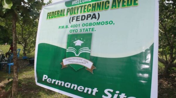Accredited Courses Offered At Federal Polytechnic Ayede [UPDATED]