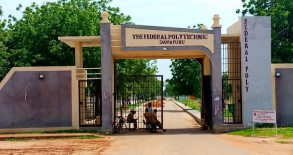 Accredited Courses Offered At Federal Polytechnic Damaturu [UPDATED]