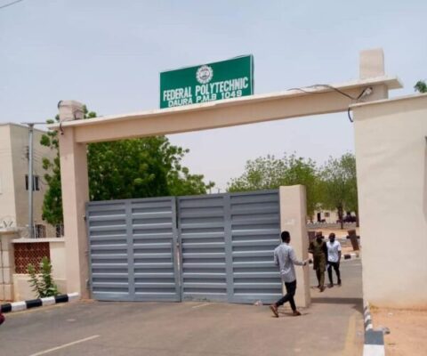 Accredited Courses Offered At Federal Polytechnic Daura [UPDATED]