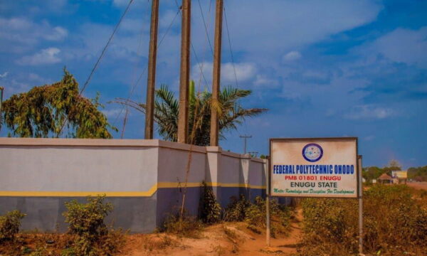 Accredited Courses Offered At Federal Polytechnic Ohodo [UPDATED]