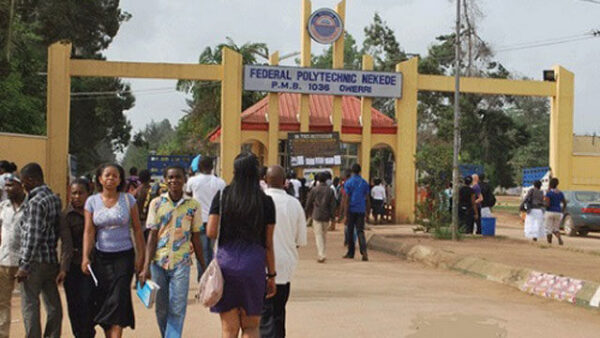 Accredited Courses Offered At Federal Polytechnic Nekede [UPDATED]
