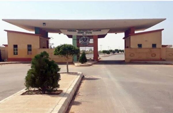 Accredited Courses Offered At Federal University Kashere [UPDATED]
