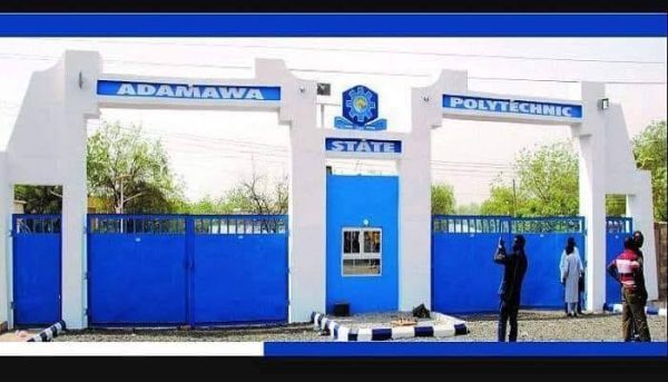 Adamawa State Polytechnic Courses Offered [UPDATED]