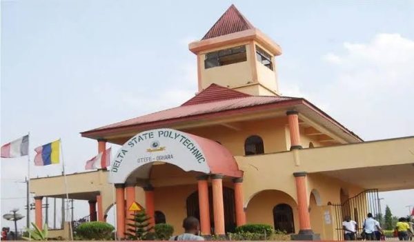 Delta State Polytechnic Otefe-Oghara Courses Offered [UPDATED]