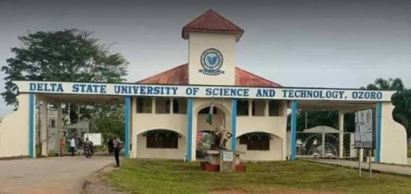 Delta University of Science and Technology School Fees [UPDATED]
