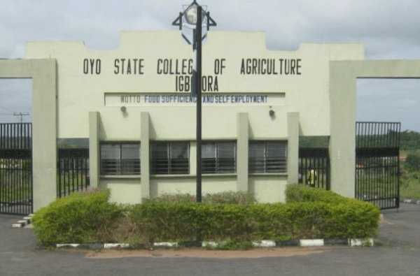 Oyo State College of Agriculture And Technology Courses Offered [UPDATED]