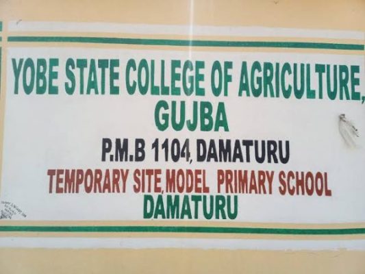 Yobe State College of Agriculture Science And Technology Gujba Courses Offered [UPDATED]
